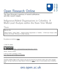 Indigenous-Hybrid Organisations in Colombia: a Multi-Level Analysis Within the Buen Vivir Model