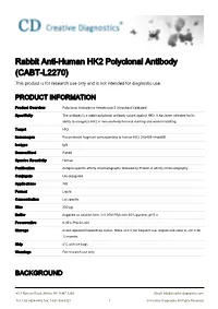 Rabbit Anti-Human HK2 Polyclonal Antibody (CABT-L2270) This Product Is for Research Use Only and Is Not Intended for Diagnostic Use