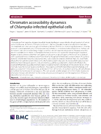 Chromatin Accessibility Dynamics of Chlamydia-Infected Epithelial Cells