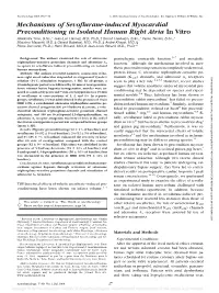 Mechanisms of Sevoflurane-Induced Myocardial Preconditioning In