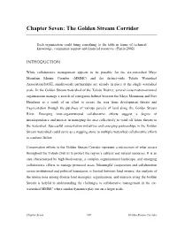 Chapter Seven: the Golden Stream Corridor