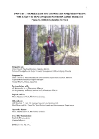 Dene Tha' Traditional Land Use, Concerns and Mitigation Measures