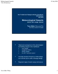 'Meteorological Hazards' by Tony Gibbs
