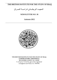 Newsletter Autumn 2012