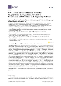 WNT11-Conditioned Medium Promotes Angiogenesis Through the Activation of Non-Canonical WNT-PKC-JNK Signaling Pathway