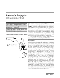 Lewton's Polygala Is a Perennial Herb That Occurs In