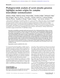Phylogeny-Wide Analysis of Social Amoeba Genomes Highlights Ancient Origins for Complex Intercellular Communication