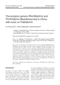 The Polypore Genera Abundisporus and Perenniporia (Basidiomycota) in China, with Notes on Haploporus