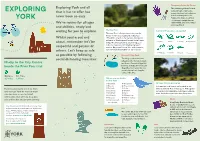 The River Foss Walk