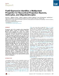 Fezf2 Expression Identifies a Multipotent Progenitor For