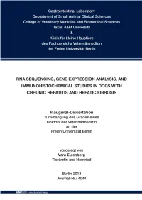 Eulenberg Online.Pdf
