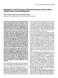 Regulation of Ionic Currents in Pheochromocytoma Cells by Nerve Growth Factor and Dexamethasone