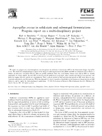Aspergillus Oryzae in Solid-State and Submerged Fermentations Progress Report on a Multi-Disciplinary Project