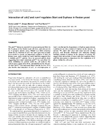 Interaction of Cdc2 and Rum1 Regulates Start and S-Phase in Fission Yeast