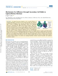 Mechanism for Diffusion Through Secondary Cell Walls in Lignocellulosic Biomass