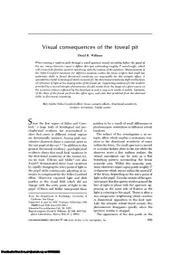 Visual Consequences of the Foveal Pit