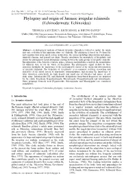 Phylogeny and Origin of Jurassic Irregular Echinoids (Echinodermata: Echinoidea)