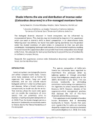 Shade Informs the Size and Distribution of Incense Cedar in A