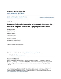 Evidence of Relictual Introgression Or Incomplete Lineage Sorting in Nrdna of Juniperus Excelsa and J