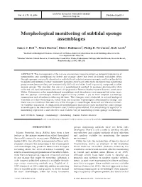 Morphological Monitoring of Subtidal Sponge Assemblages
