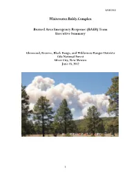 Whitewater Baldy Complex Burned Area Emergency Response (BAER) Team Executive Summary