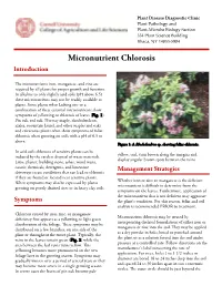 Micronutrient Chlorosis Introduction