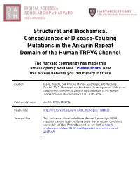 Structural and Biochemical Consequences of Disease-Causing Mutations in the Ankyrin Repeat Domain of the Human TRPV4 Channel