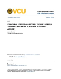 Structural Interactions Between the Α3β1 Integrin and Mmp-2: a Potential Functional Role in Cell Adhesion