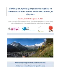 Workshop on Impacts of Large Volcanic Eruptions on Climate and Societies: Proxies, Models and Solutions for the Future