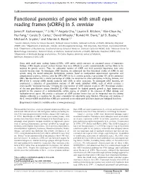 Functional Genomics of Genes with Small Open Reading Frames (Sorfs) in S