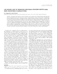 Life History Cost of Trematode Infection in Helisoma Anceps Using Mark–Recapture in Charlie's Pond