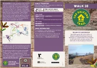 Walk 10 in Between