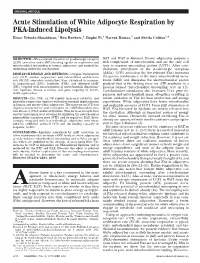 Acute Stimulation of White Adipocyte Respiration by PKA-Induced Lipolysis Einav Yehuda-Shnaidman,1 Ben Buehrer,2 Jingbo Pi,1 Naresh Kumar,3 and Sheila Collins1,4