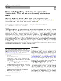 Stromal Hedgehog Pathway Activation by IHH Suppresses Lung Adenocarcinoma Growth and Metastasis by Limiting Reactive Oxygen Species