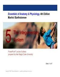 The Integumentary System the Integumentary System