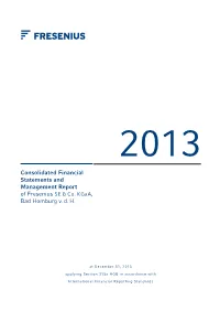 2013 Consolidated Financial Statement and Management Report