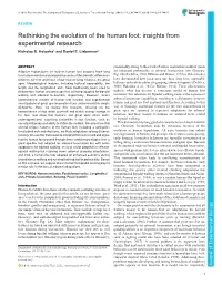 Rethinking the Evolution of the Human Foot: Insights from Experimental Research Nicholas B