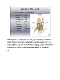 The Carpal Bones Are a Small Cluster of 8. from Anatomical Position (Palmar Side) There Are 2 Distinct Rows