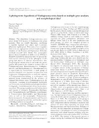 A Phylogenetic Hypothesis of Ustilaginomycotina Based on Multiple Gene Analyses and Morphological Data1