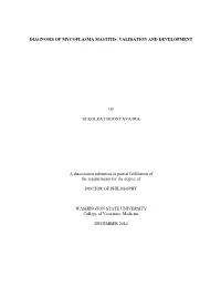 Diagnosis of Mycoplasma Mastitis: Validation and Development