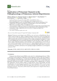 Implication of Potassium Channels in the Pathophysiology of Pulmonary Arterial Hypertension