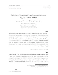 Article 515337 3Ff1818c4e1e8d
