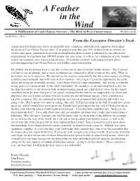 A Feather in the Wind