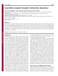 G-Protein-Coupled Receptor Heteromer Dynamics