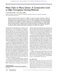 A Comparative Look at High-Throughput Cloning Methods
