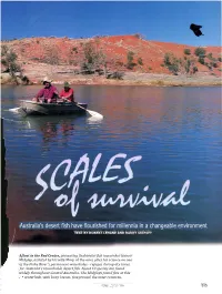 Australia's Desert Fish Have Flourished for Millennia in a Changeable Environment TEXT by ROBERT LEHANE and BARRY SKIPSEY