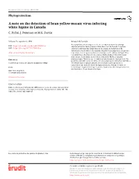 A Note on the Detection of Bean Yellow Mosaic Virus Infecting White Lupine in Canada C
