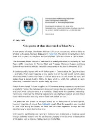 New Species of Plant Discovered in Tokai Park