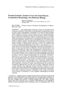 Primate Evolution: Evidence from the Fossil Record, Comparative Morphology, and Molecular Biology