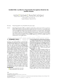 Satellitener: an Effective Named Entity Recognition Model for the Satellite Domain